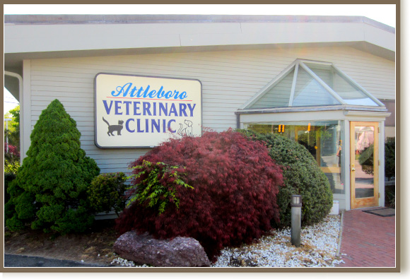 Attleboro Veterinary Clinic Location