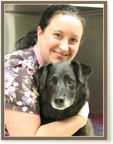 Senior Pet Care in attleboro