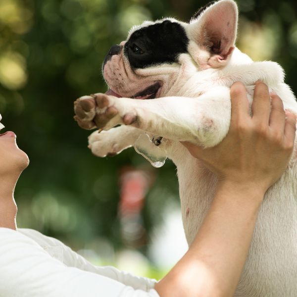 A person holding a dog